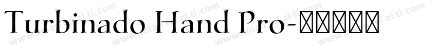 Turbinado Hand Pro字体转换